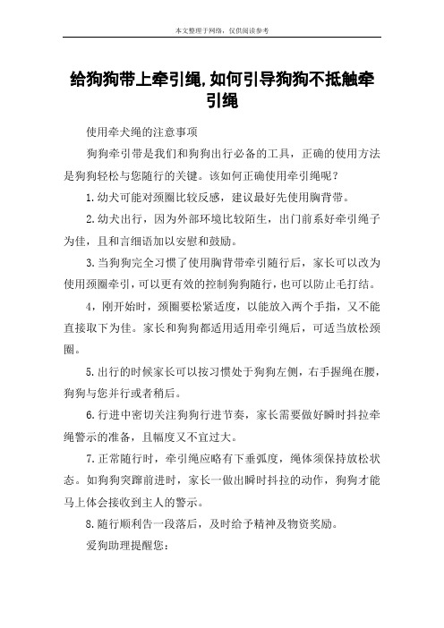 给狗狗带上牵引绳,如何引导狗狗不抵触牵引绳