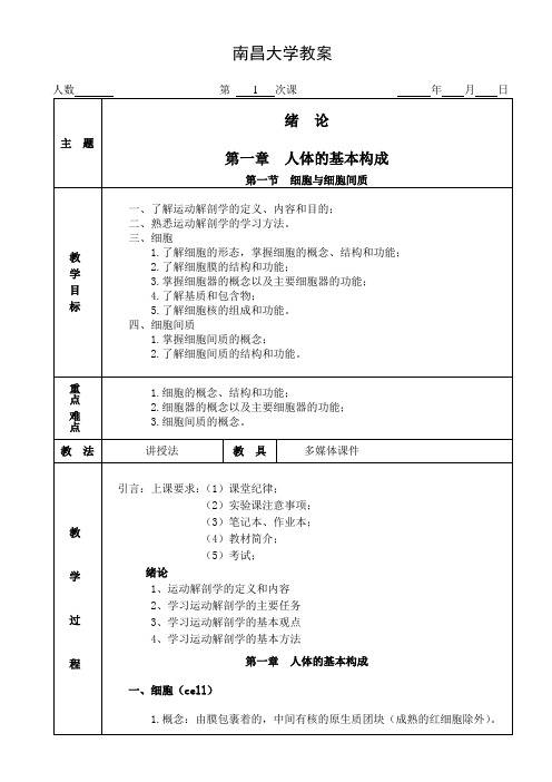 运动解剖学教案