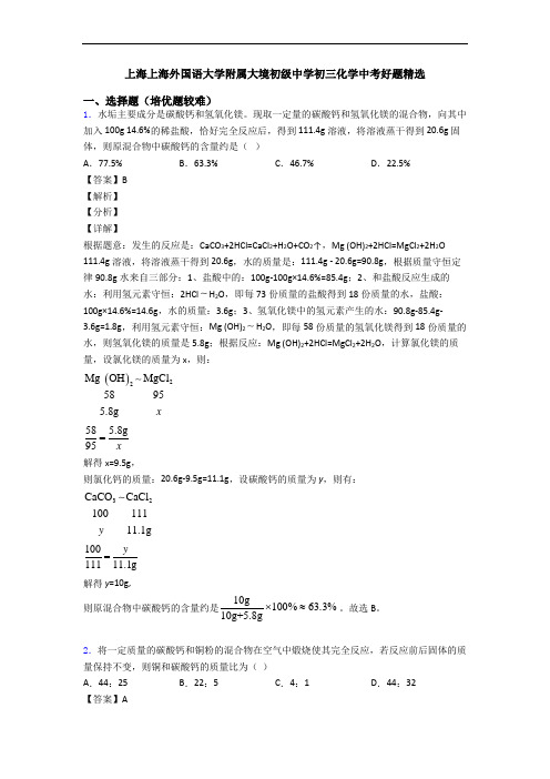 上海上海外国语大学附属大境初级中学初三化学中考好题精选