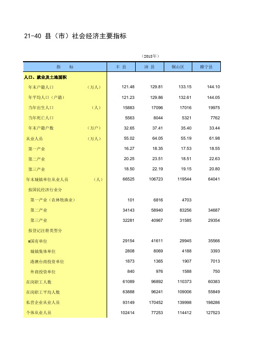 21-40 江苏省徐州市各县市丰县沛县铜山区睢宁县新沂市邳州市社会经济主要指标