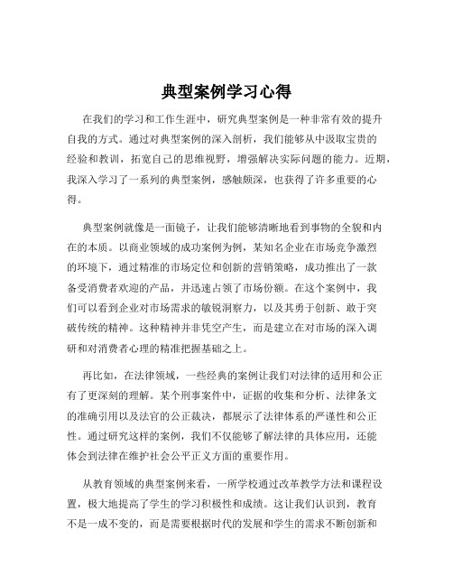 典型案例学习心得