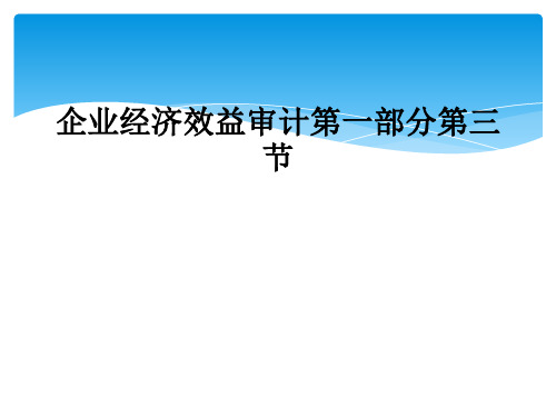 企业经济效益审计第一部分第三节