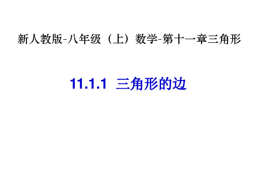 人教版数学八年级上册第十一章三角形教学课件