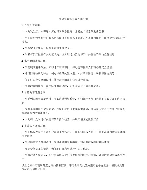 某公司现场处置方案汇编