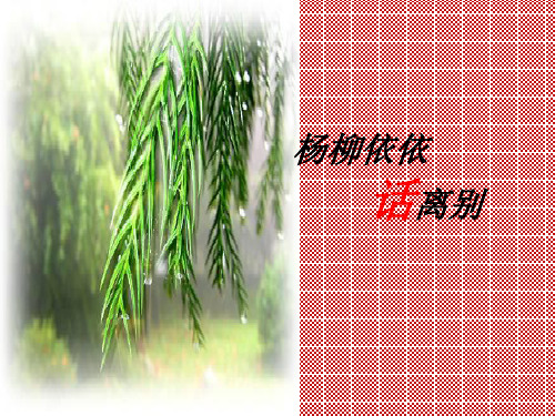 杨柳依依话离别(课件)