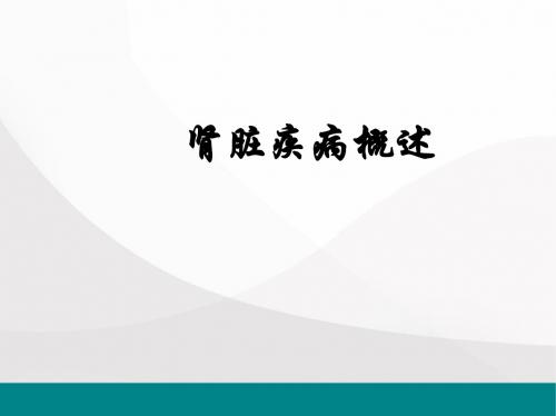 肾脏病概述医学PPT课件