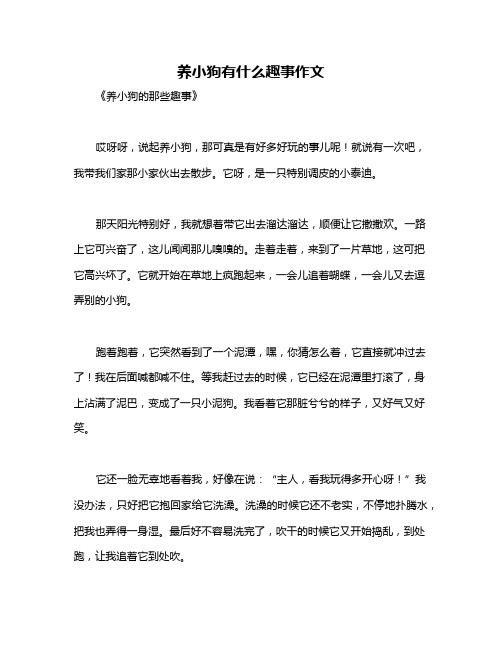 养小狗有什么趣事作文