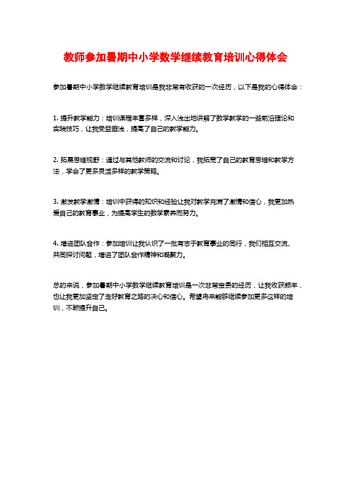 教师参加暑期中小学数学继续教育培训心得体会