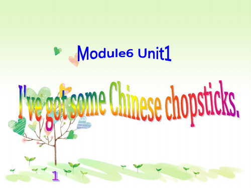 外研版(一起)六年级上册Module 6《Unit 1 I’ve got some Chinese chopsticks》ppt课件2