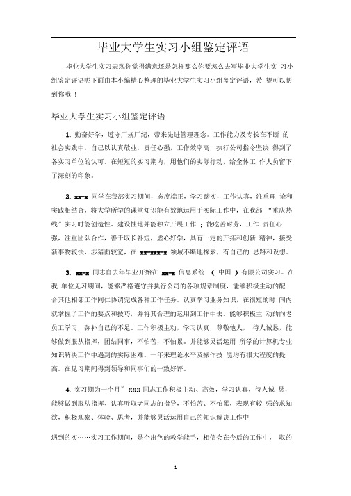 毕业大学生实习小组鉴定评语