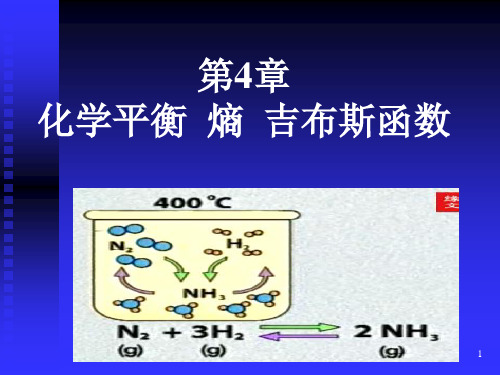 化学平衡 熵和吉布斯函数