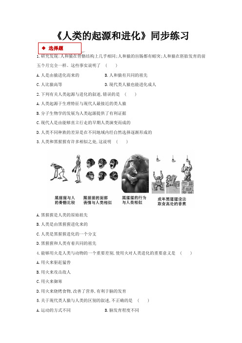 苏科版八年级生物下册同步练习  人类的起源和进化