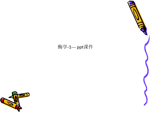 酶学-1--- ppt课件_