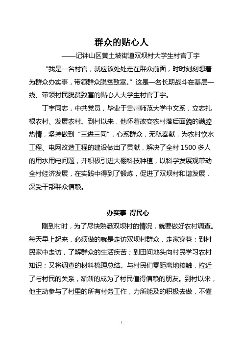 大学生村官先进事迹