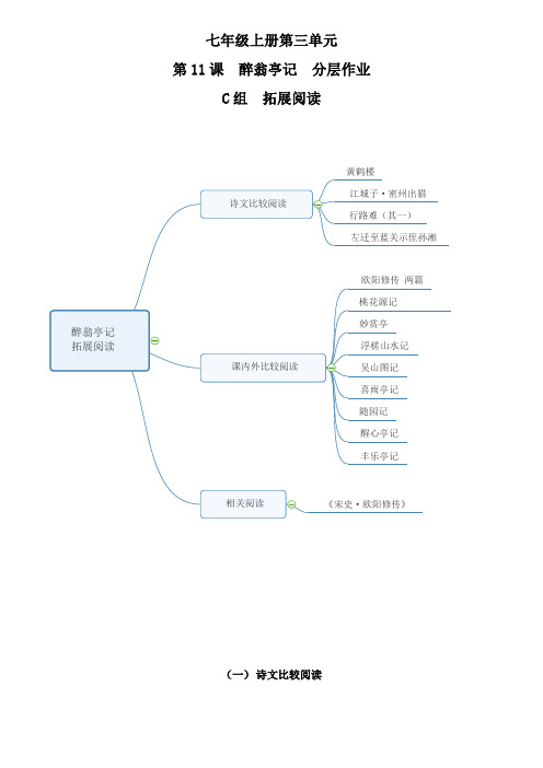 C组 拓展演练(原卷版)醉翁亭记