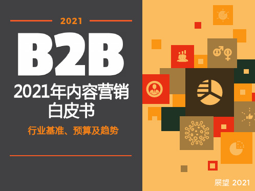 2021-2022年B2B内容营销白皮书