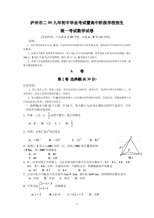 2009年四川省泸州市中考真题——数学