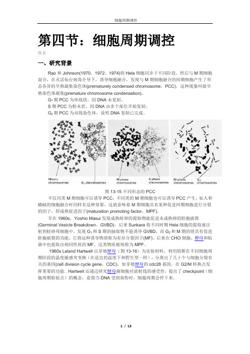 细胞周期调控(图文并茂)