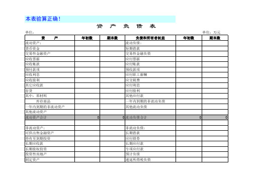 Excel电子财务报表模板