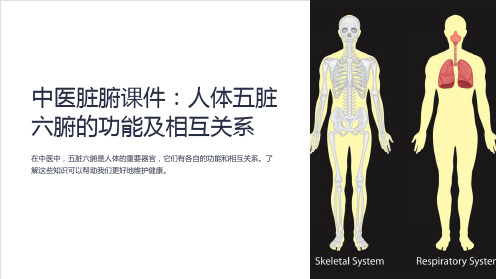 “中医脏腑课件：人体五脏六腑的功能及相互关系”