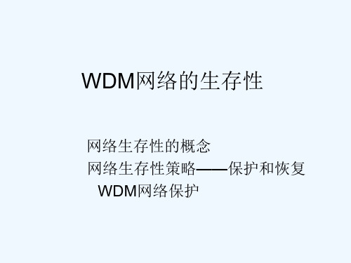 WDM网络的生存性