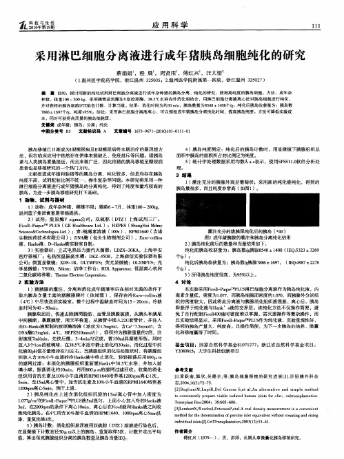 采用淋巴细胞分离液进行成年猪胰岛细胞纯化的研究