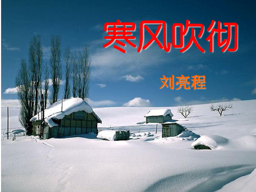 寒风吹彻
