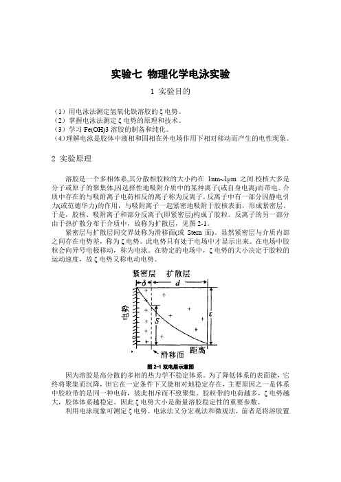 物理化学电泳实验