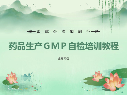 药品生产ＧＭＰ自检培训教程