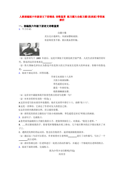 人教部编版六年级语文下册精选 诗歌鉴赏 练习题大全练习题(经典版)带答案解析