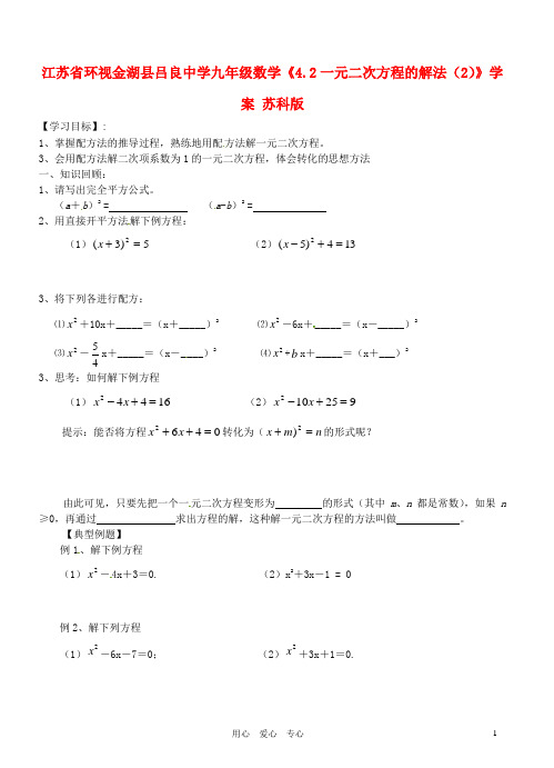 江苏省环视金湖县吕良中学九年级数学《4.2一元二次方程的解法》学案(2)(无答案) 苏科版