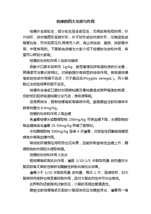 桔梗的四大功效与作用