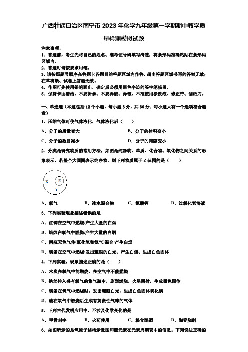 广西壮族自治区南宁市2023年化学九年级第一学期期中教学质量检测模拟试题含解析