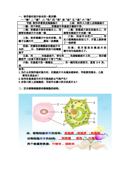 临时装片制作步骤、动植物细胞结构