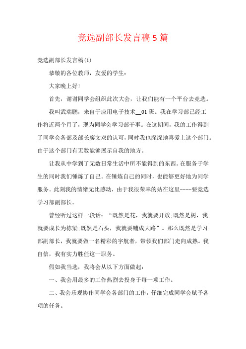 竞选副部长发言稿5篇