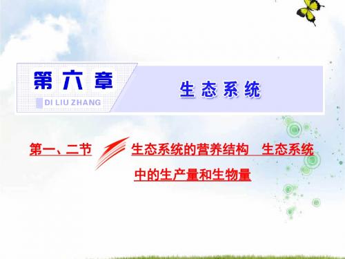 高中生物浙科版(浙江专版)必修3课件：第六章 第一、二节 生态系统的营养结构生态系统中的生产量和生物量