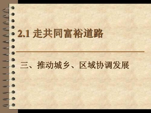 2.1.3推动城乡、区域协调发展