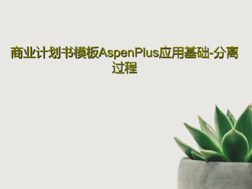 商业计划书模板AspenPlus应用基础-分离过程PPT18页