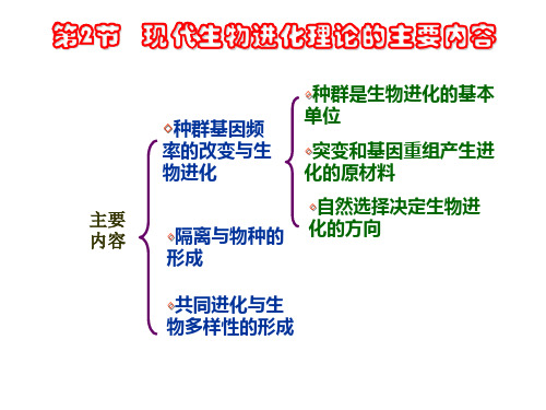 现代生物进化理论的主要内容ppt