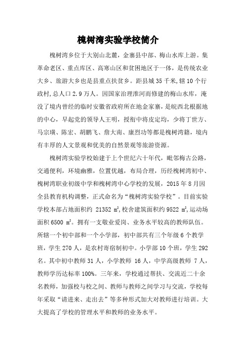 槐树湾实验学校简介(新)