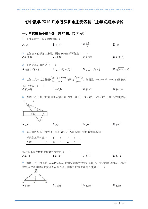 初中数学2019广东省深圳市宝安区初二上学期期末考试(解析版)-2