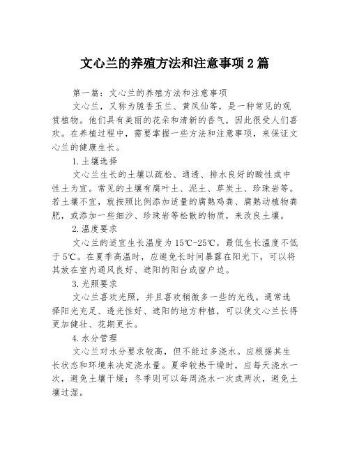 文心兰的养殖方法和注意事项2篇