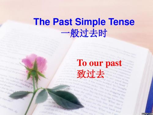 人教版七年级下语法教学：一般过去时(Present SimpleTense)课件(共23张ppt)