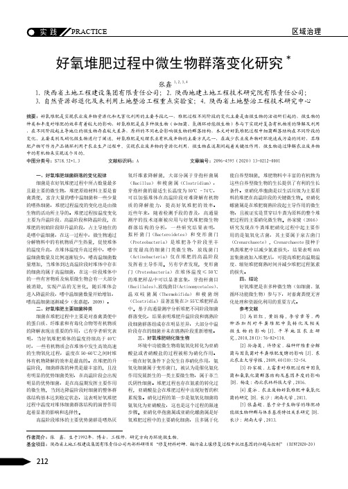 好氧堆肥过程中微生物群落变化研究