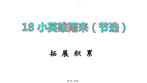 四年级下册语文课件小英雄雨来拓展积累课件部编版