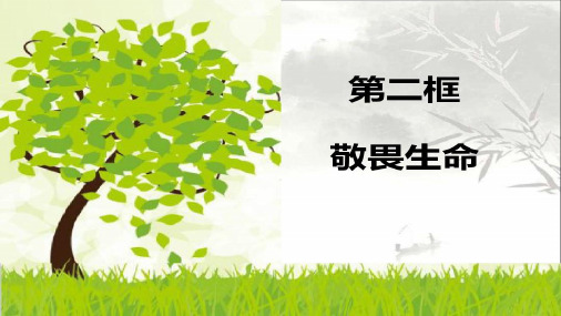 统编版《敬畏生命》优质课(PPT)1