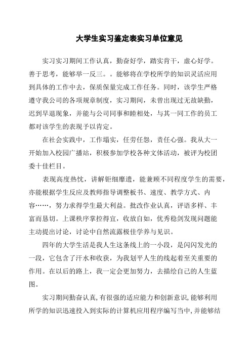 大学生实习鉴定表实习单位意见