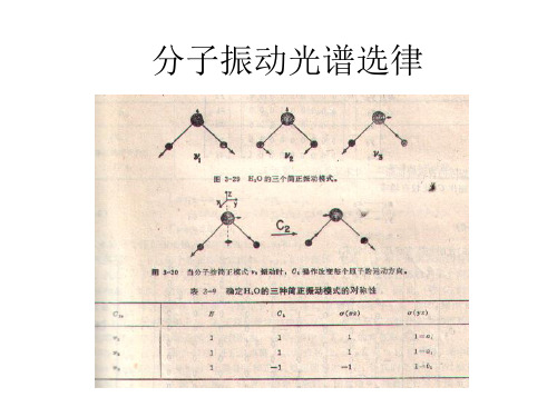 分子振动光谱选律