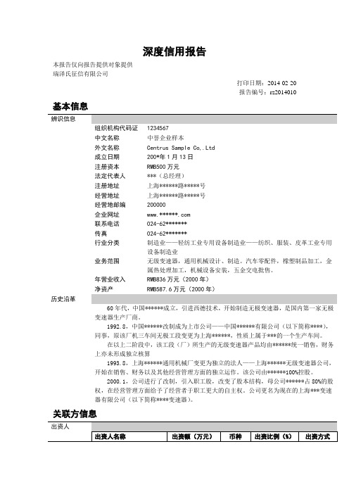 深度信用报告