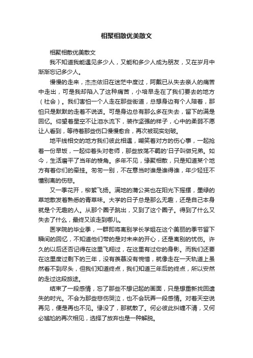 相聚相散优美散文